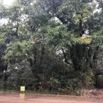 511 S Cowan St, Hughes, AR 72348 owner financed land in arkansas