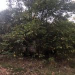 616 Mississippi St, Earle, AR 72331 owner financed land in arkansas