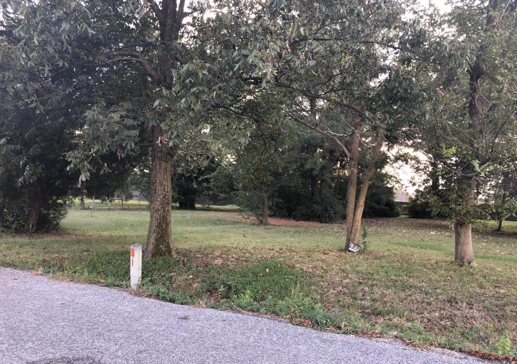 RS_3151