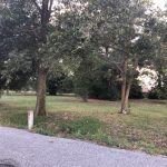 623 Clement Lane, Gosnell AR 72315 owner financed land in arkansas
