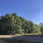0 CR 514, Itta Bena MS 38941 owner financed land in arkansas