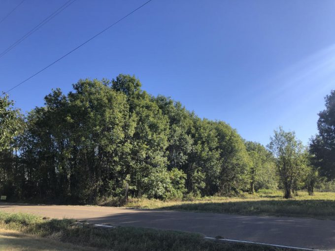 0 CR 514, Itta Bena MS 38941 owner financed land in arkansas