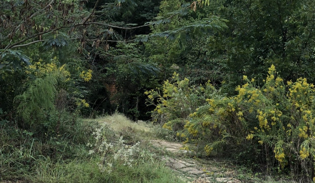 RS_3377