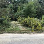 777 Bradley Ferry Road, Camden AR 71701 owner financed land in arkansas