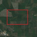 Lot 18, Block 20, Columbia Road 17, Taylor, AR 71861 owner financed land in arkansas