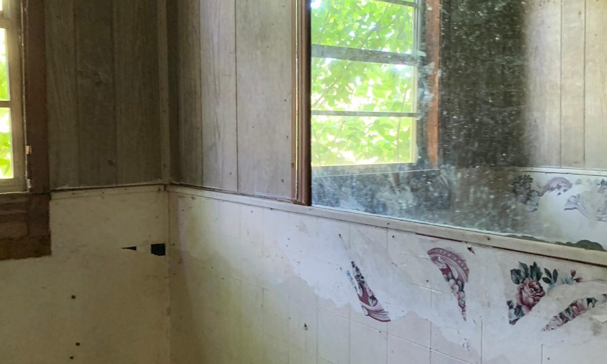 WhatsApp Image 2020-04-18 at 11.17.45 AM (1)