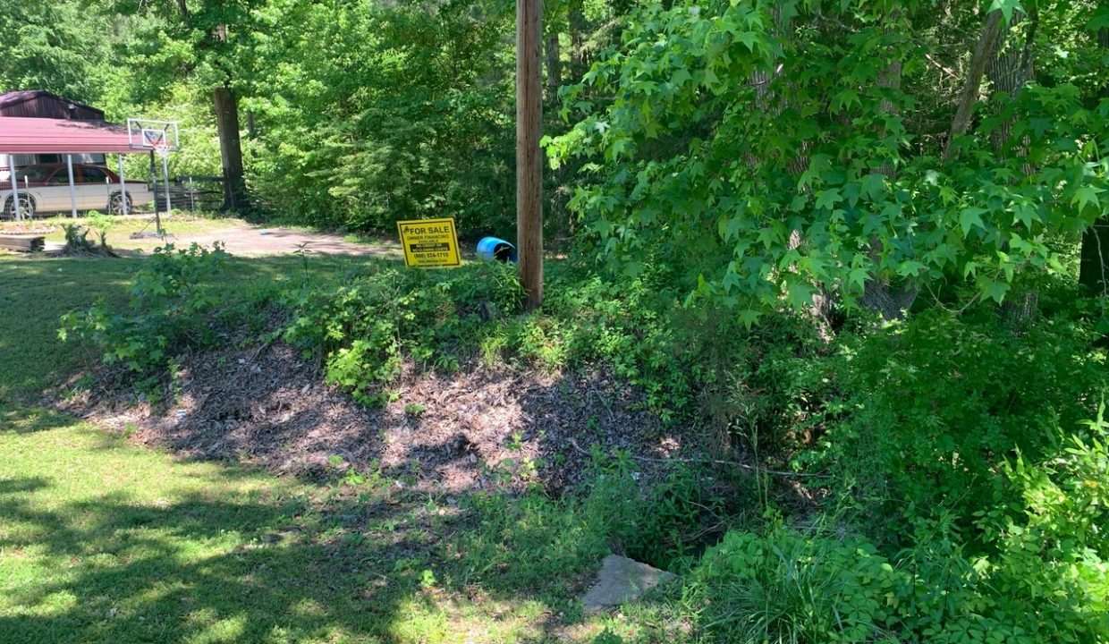 Image00003