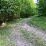 0 Foster Ln, Holly Grove, AR 72069 owner financed land in arkansas