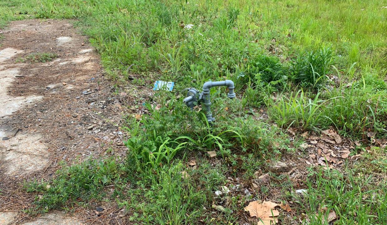 WhatsApp Image 2020-04-19 at 11.50.40 AM (1)