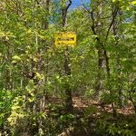 Lot 37, Wagon Trail, Ozark Acres, AR 72482 owner financed land in arkansas