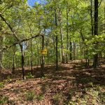 Lot 17, Oregon Trail, Ozark Acres, AR 72482 owner financed land in arkansas
