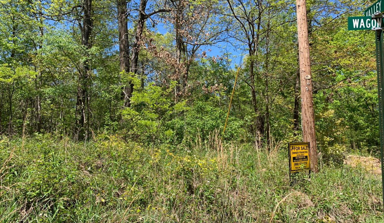 WhatsApp Image 2020-04-21 at 2.00.13 PM (1)