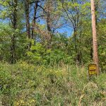 Lot 1, Valley Trail, Williford, AR 72482, USA owner financed land in arkansas