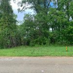 0 South Avenue, Forrest City, AR 72335 owner financed land in arkansas