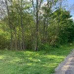 0 Chestnut, Hot Springs, AR 71901 owner financed land in arkansas
