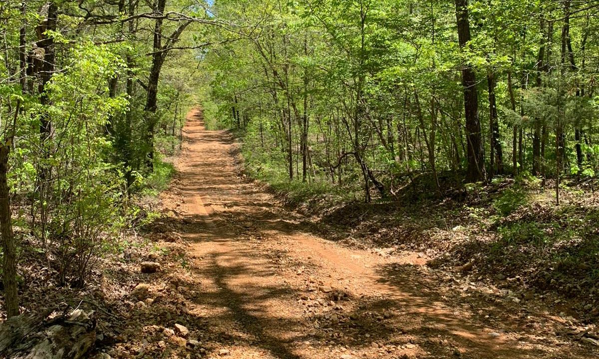 WhatsApp Image 2020-04-21 at 1.00.30 PM (1)