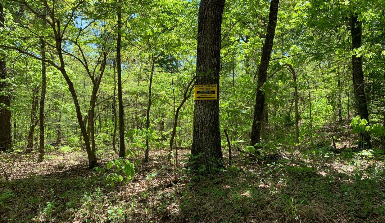 WhatsApp Image 2020-04-21 at 1.00.30 PM