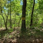 Lot 3, Mockingbird Drive, Ozark Acres, AR 72482 owner financed land in arkansas