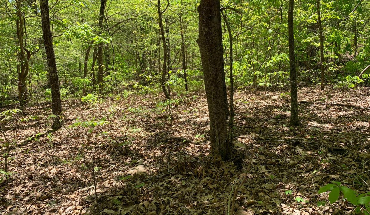 WhatsApp Image 2020-04-21 at 1.00.31 PM (2)