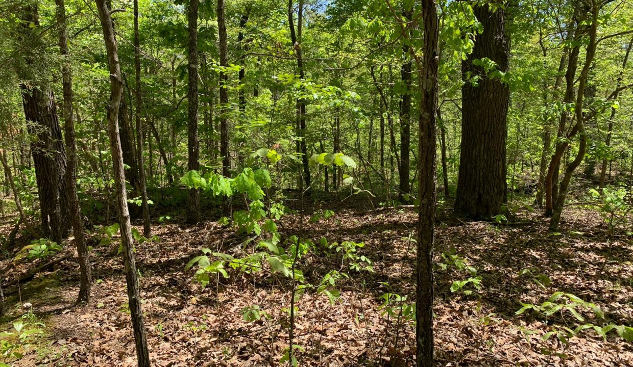 WhatsApp Image 2020-04-21 at 1.16.39 PM