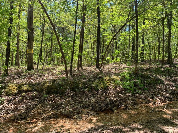 Lot 9, Blackbird Drive, Ozark Acres, AR 72482 owner financed land in arkansas