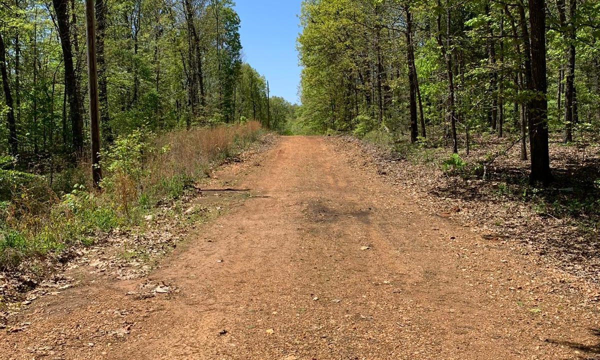 WhatsApp Image 2020-04-21 at 1.35.16 PM (1)