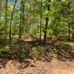 Lot 20, Pheasant Drive, Ozark Acres, AR 72482 owner financed land in arkansas