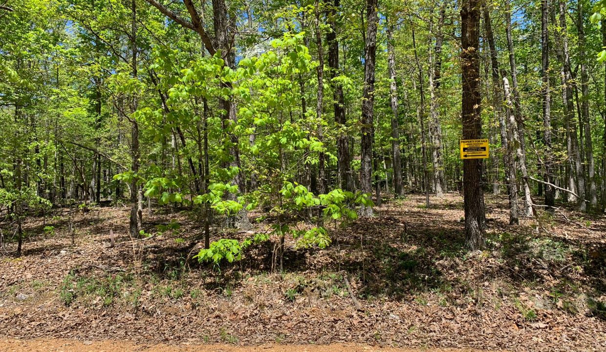 WhatsApp Image 2020-04-21 at 12.44.29 PM