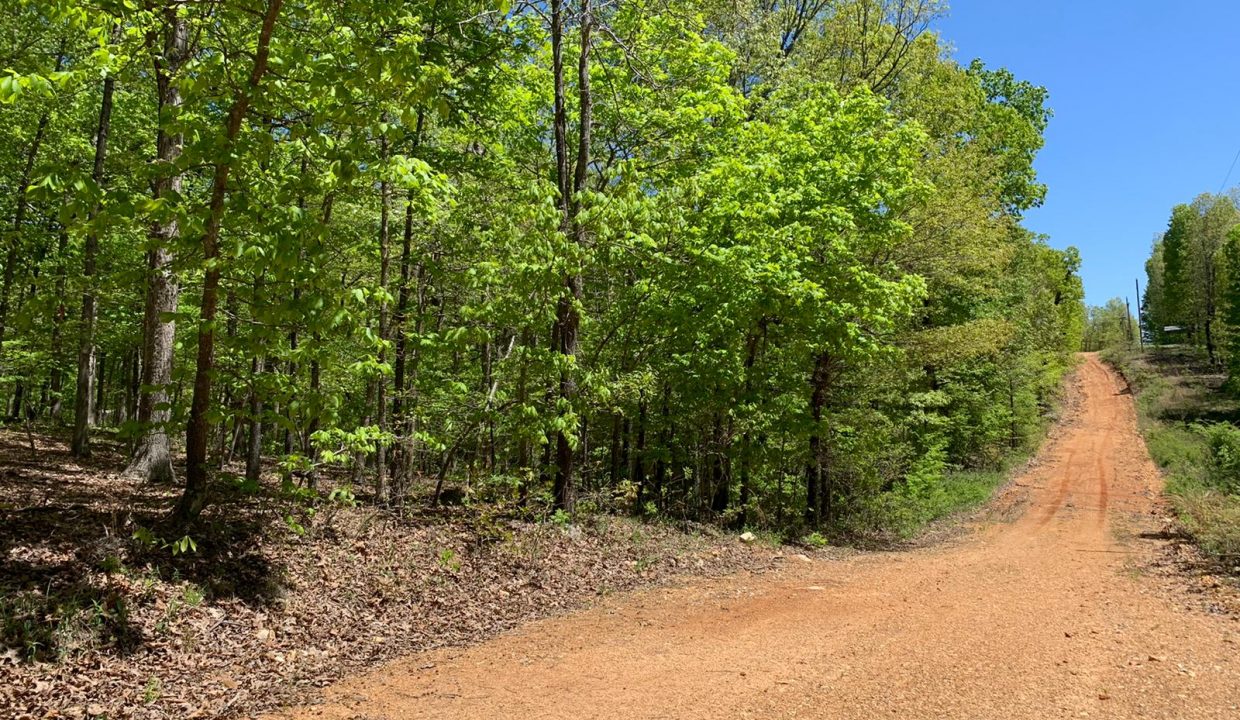 WhatsApp Image 2020-04-21 at 12.44.30 PM (1)