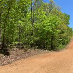 Lot 12, Bluebird Drive, Ozark Acres, AR 72482 owner financed land in arkansas
