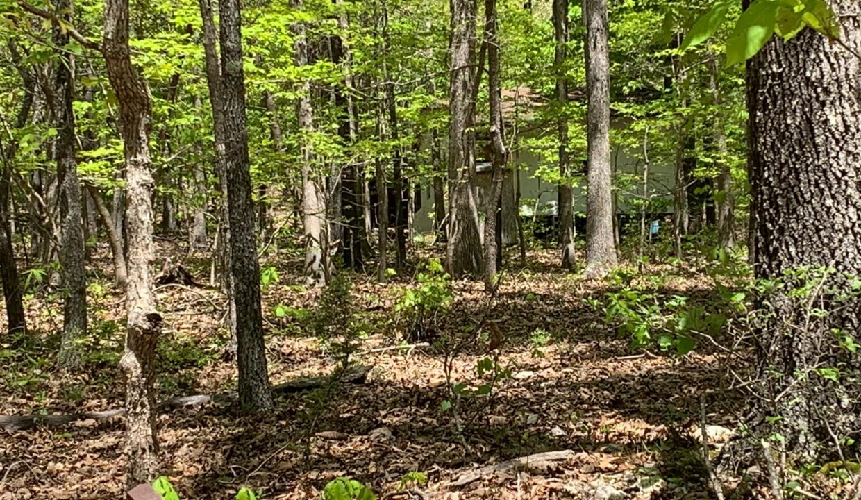 WhatsApp Image 2020-04-21 at 12.44.31 PM