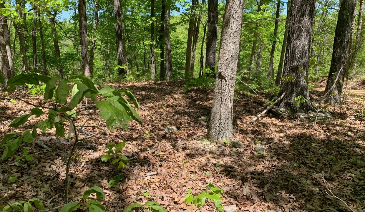 WhatsApp Image 2020-04-21 at 1.26.12 PM (2)