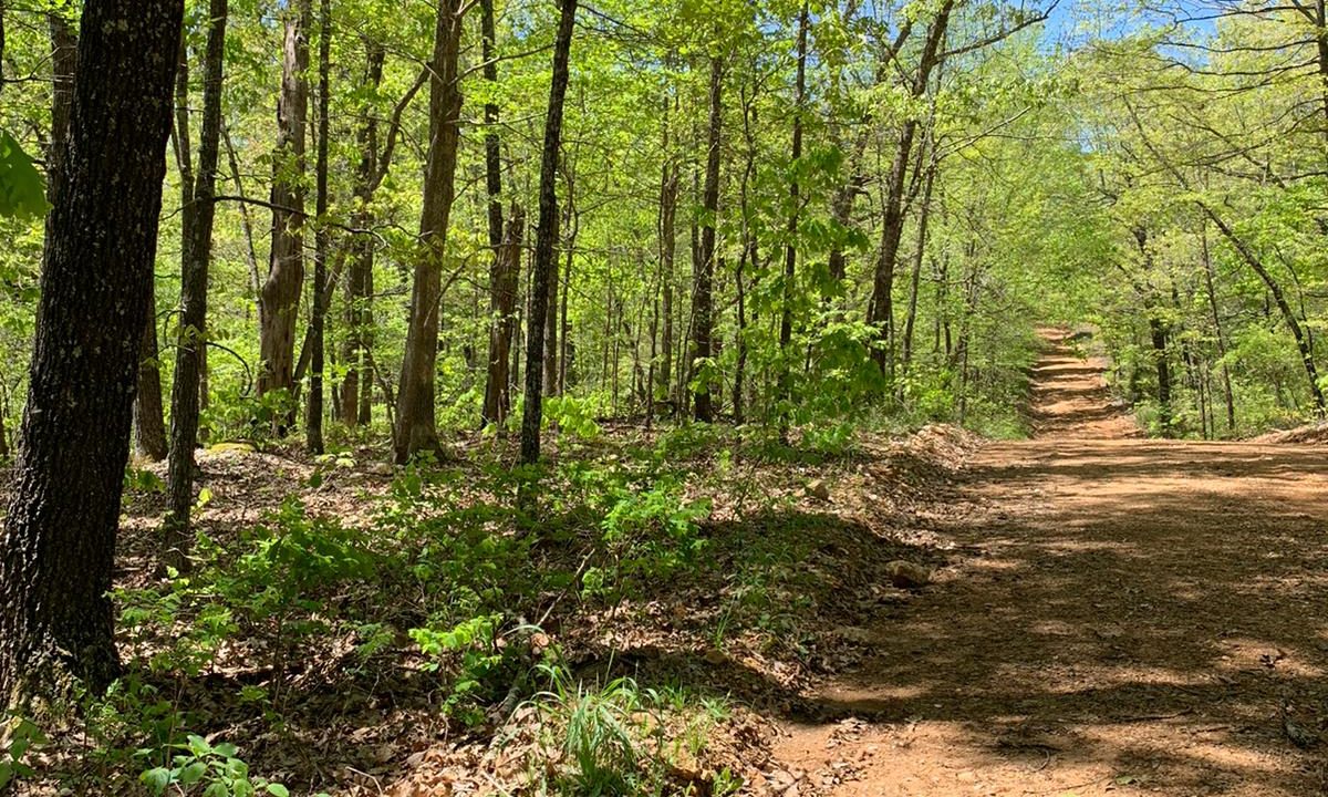 WhatsApp Image 2020-04-21 at 12.57.44 PM