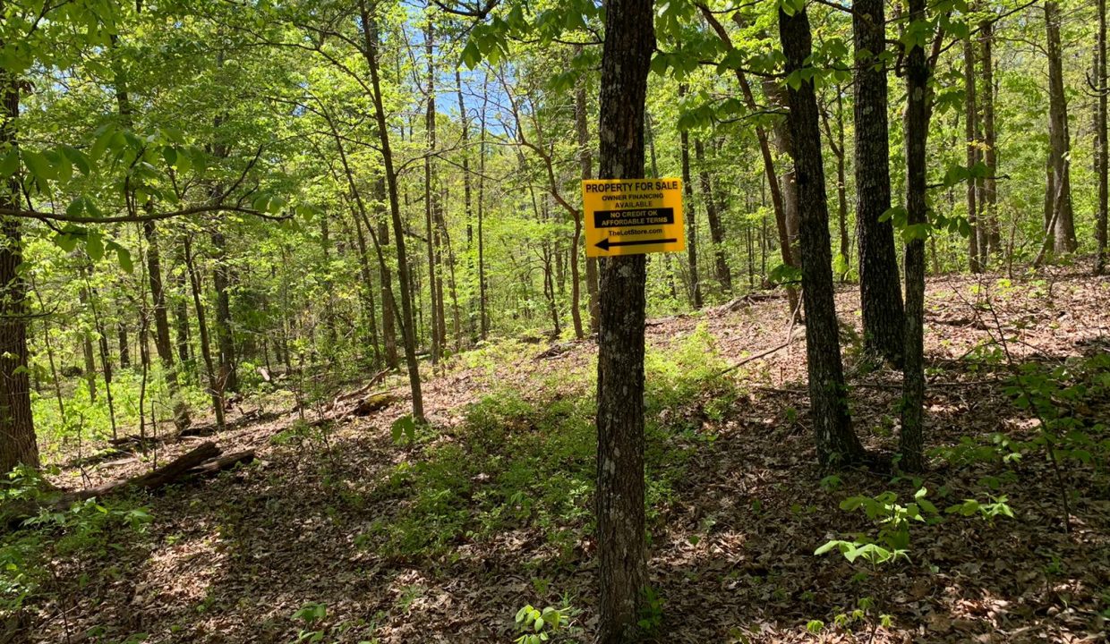 WhatsApp Image 2020-04-21 at 12.57.45 PM (1)