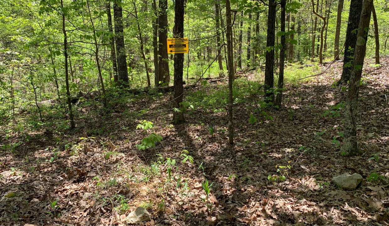 WhatsApp Image 2020-04-21 at 12.57.45 PM