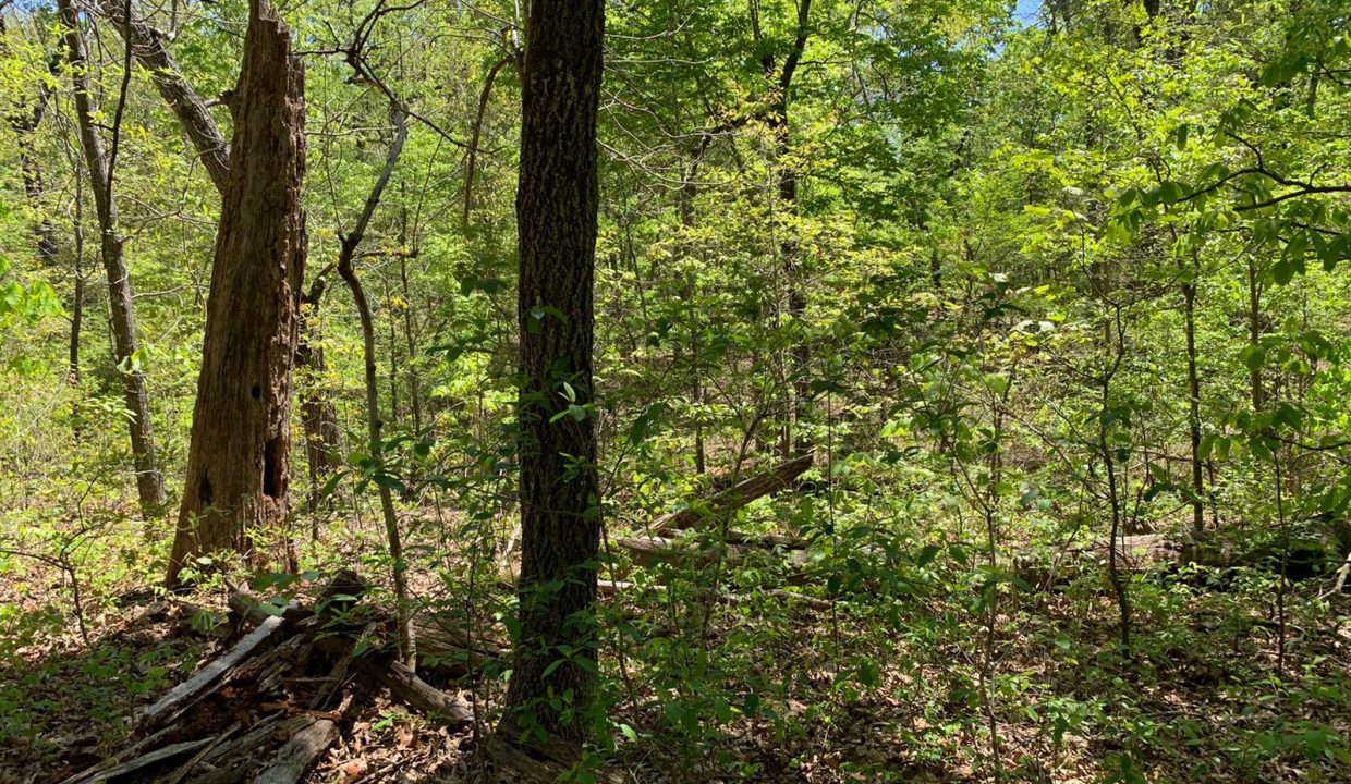 WhatsApp Image 2020-04-21 at 12.57.46 PM