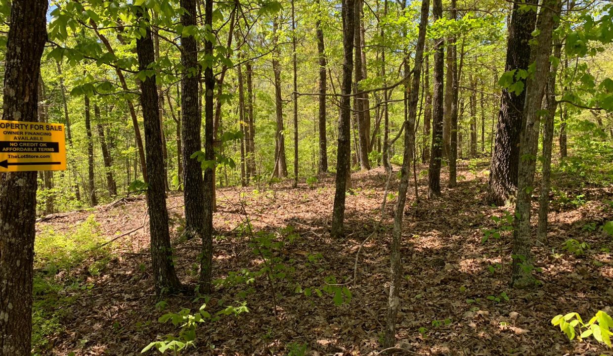 WhatsApp Image 2020-04-21 at 12.57.47 PM