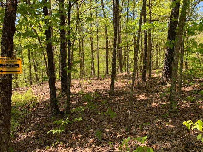 Lot 9, Mockingbird Drive, Ozark Acres, AR 72482 owner financed land in arkansas