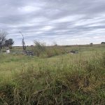 559 Highway 91, Walnut Ridge, AR 72476 owner financed land in arkansas