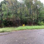 Lot 10, Martin Street, Fordyce, AR 71742 owner financed land in arkansas