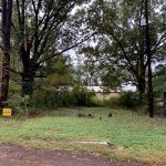 0 Martin Street, Fordyce, AR 71742 owner financed land in arkansas