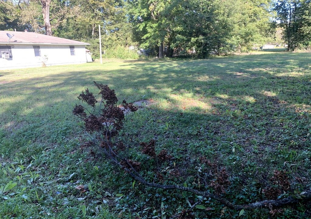 Image00003