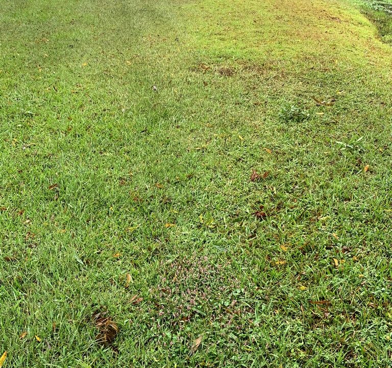 Image00003