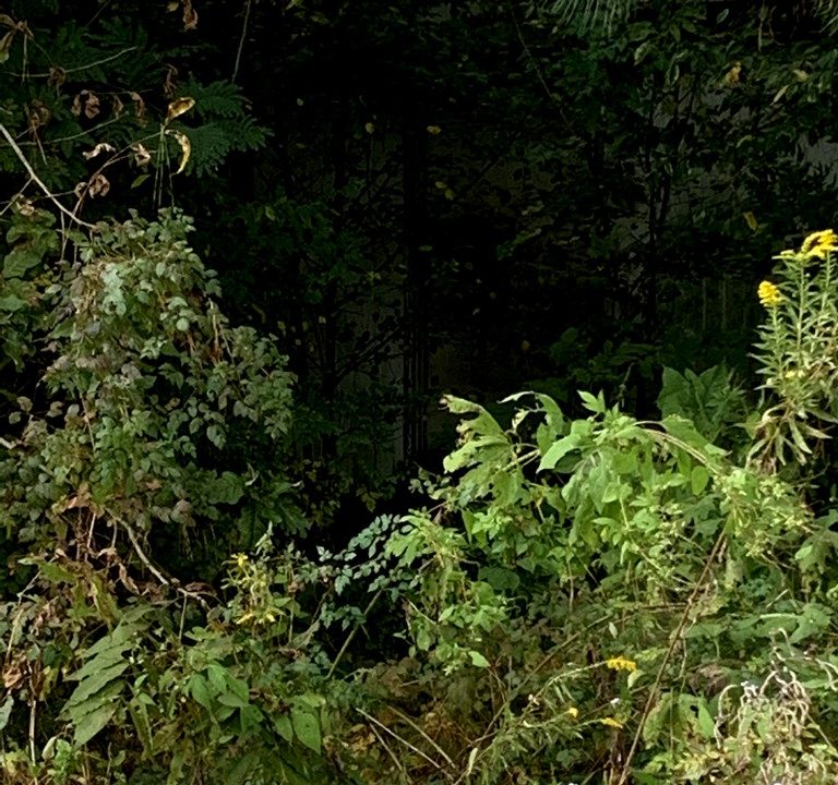 Image00004