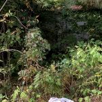 203 Rice St, Tucker, AR 72168 owner financed land in arkansas