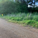 0 SFC 800, Forrest City, AR 72335 owner financed land in arkansas