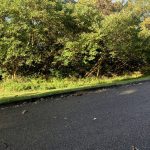0 Garland Ave E, Forrest City, AR 72335 owner financed land in arkansas