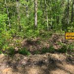 Lot 30, Wagon Trail, Ozark Acres, AR 72482 owner financed land in arkansas