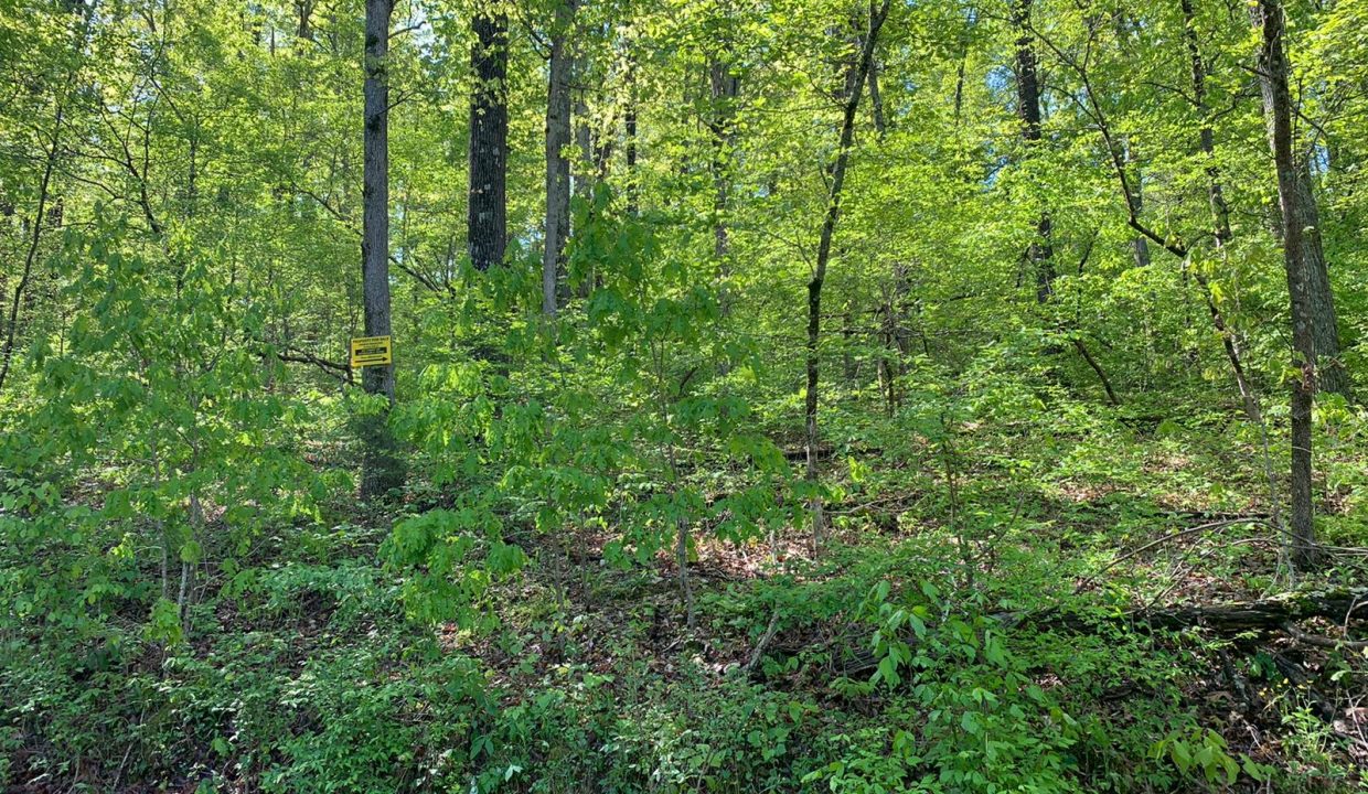 WhatsApp Image 2020-04-21 at 10.29.09 AM