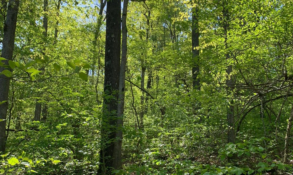 WhatsApp Image 2020-04-21 at 10.29.10 AM (1)